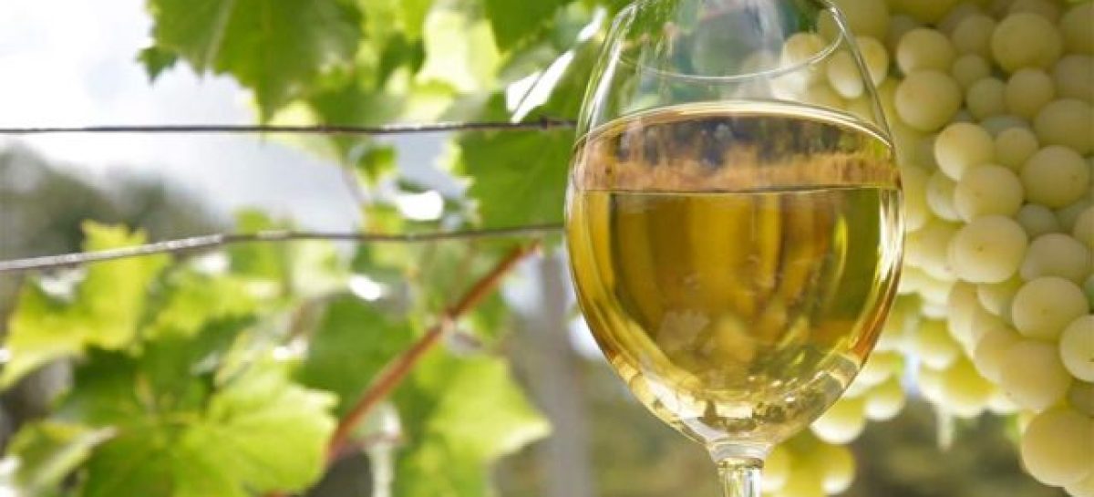 «nuestro-objetivo-es-posicionar-a-la-vitivinicultura-riojana»