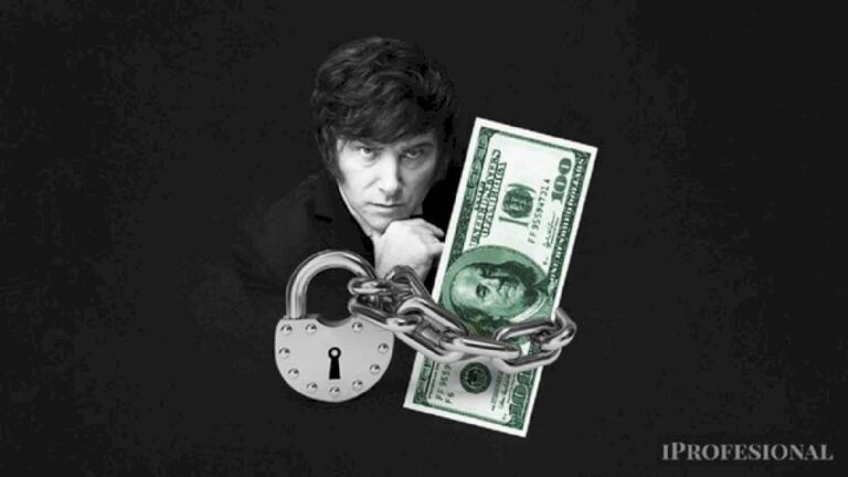 fin-del-cepo-al-dolar-en-5-meses:-cuan-viable-es-el-plan-de-javier-milei-para-el-mercado