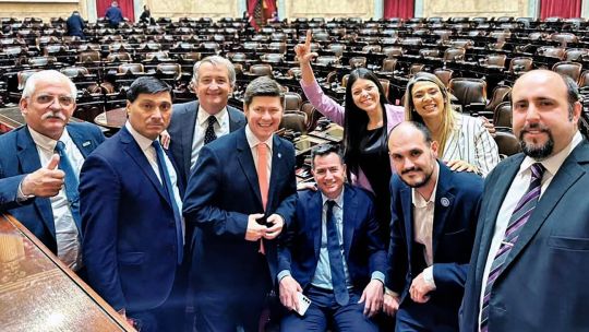 Nuevos aliados y vínculos en tensión, la cosecha libertaria en el Congreso