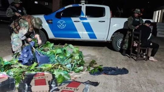 El «hombre camalote»: se disfrazó para contrabandear 200 paquetes de cigarrillos por el río Paraná, pero lo detuvieron