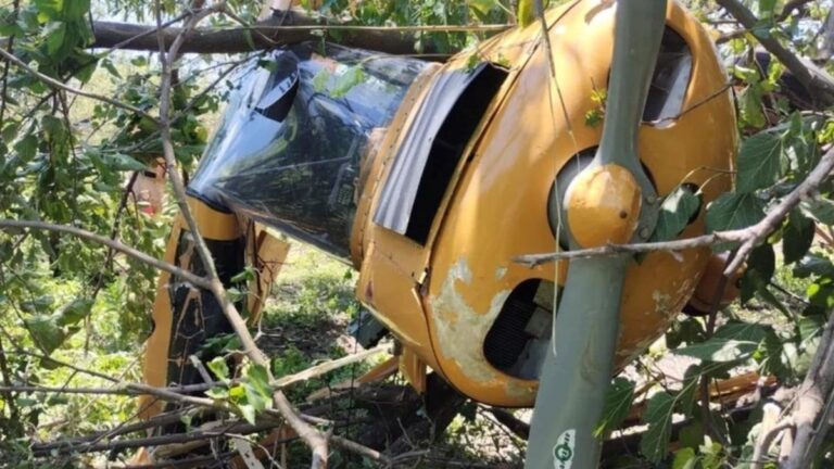 Video: se estrelló la avioneta del Circo Rodas en Salta