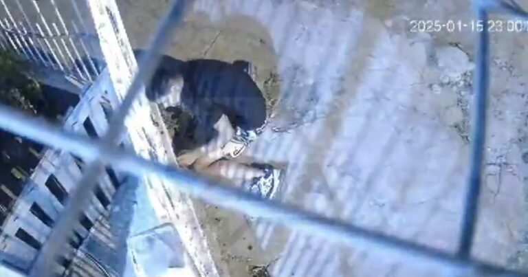 Tres nuevos ataques a policías de la Ciudad en el GBA: en uno de ellos, murieron dos ladrones