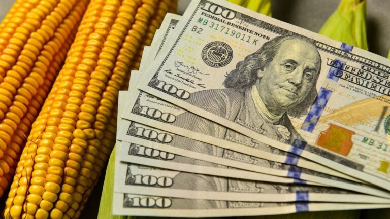 Baja de retenciones: el Consejo Agroindustrial estimó cuánto crecerán las exportaciones