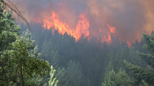 El Bolsón desespera al ver el fuego en sus ventanas: «Estamos en un caos total»