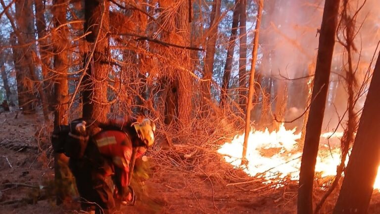 Odio, discriminación y criminalización: la fórmula de Torres, Bullrich y Milei para los incendios