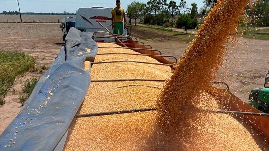 Córdoba bate récords en exportaciones: ventas por US$10.300 millones en 2024