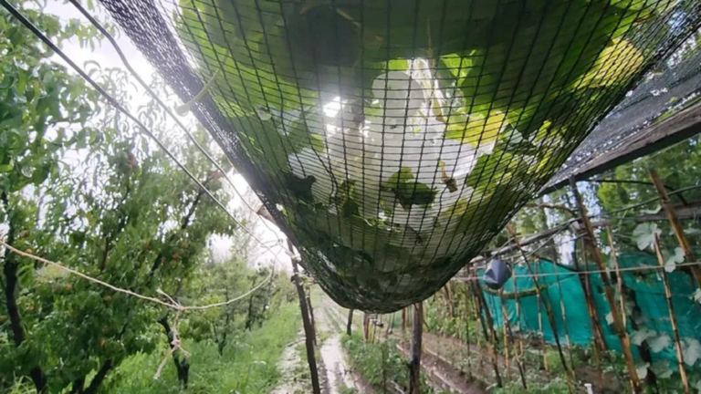 Alerta por tormentas fuertes y granizo en Buenos Aires y otras ocho provincias