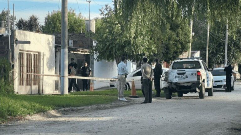 Un pitbull atacó y mató a una bebé de un año y medio en Mar del Plata