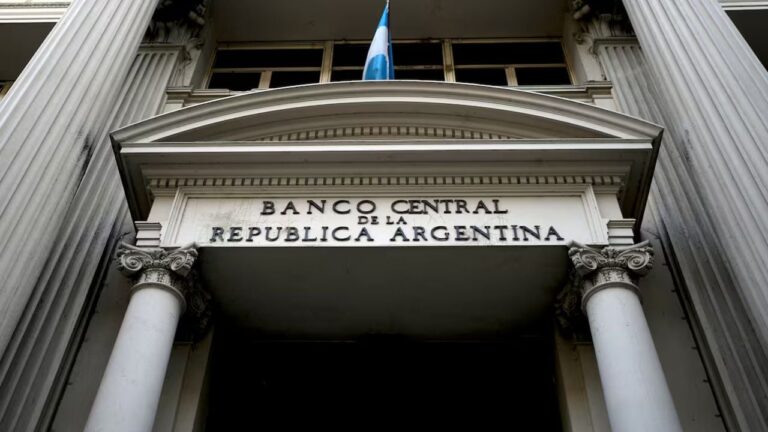 Cuánto y hasta cuándo tiene el Gobierno para comprarle dólares al Banco Central