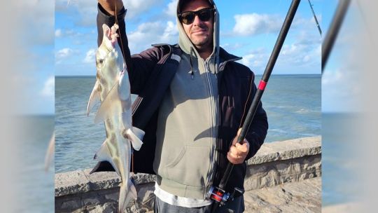 Llegaron los primeros peces elefante a Mar del Plata