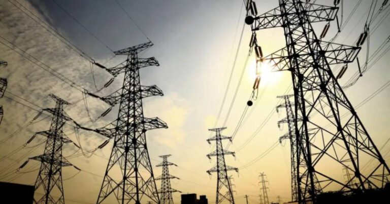 Emergencia energética. El poder a la motosierra