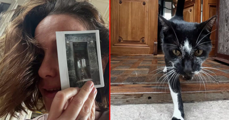 Natalia Oreiro mostró cómo es la gatita que adoptó para su casa