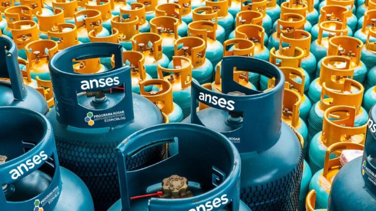 ANSES: los montos que recibirá el Programa Hogar en cada parte del país