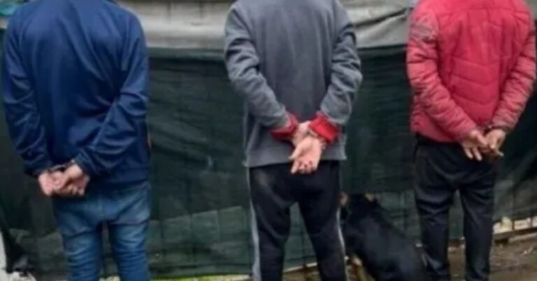 La insólita reacción del perro de una banda narco cuando la Policía sacó la foto de la detención