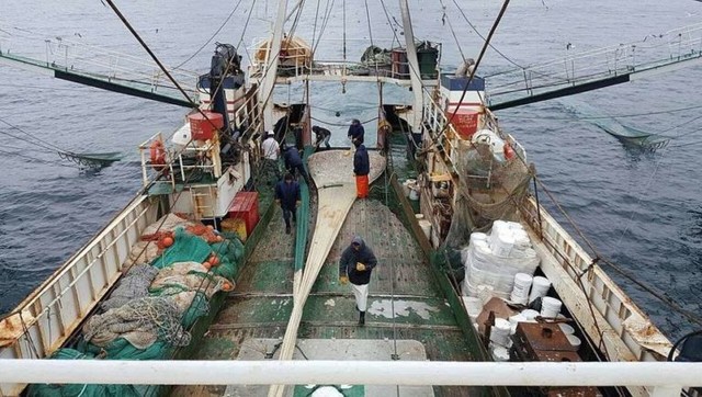 La Justicia investiga presuntas coimas y monopolio en la pesca de la merluza