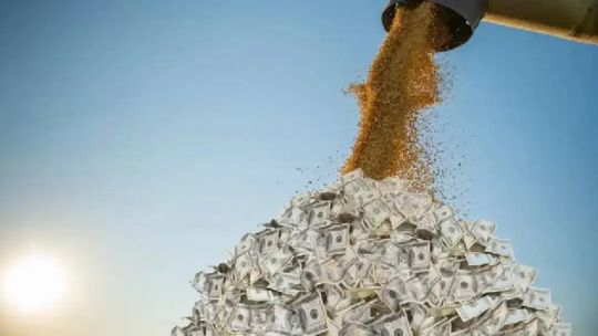 Sector agropecuario: de una inversión, «el 20% es capital propio y 70-80% es financiamiento