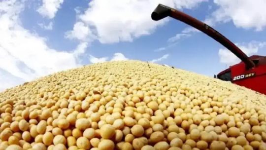 La soja es hoy el rehén de esta disputa geopolítica entre EEUU y China
