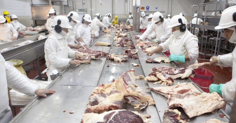 «Impuesto distorsivo»: el Gobierno oficializó la baja a cero de las retenciones para la carne bovina, aviar y equina