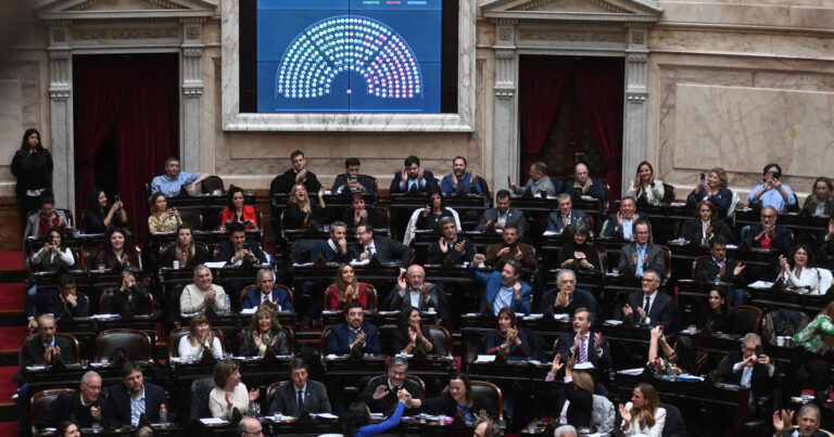 Discapacidad: el Congreso se niega a dictar una nueva ley y empuja la vía judicial