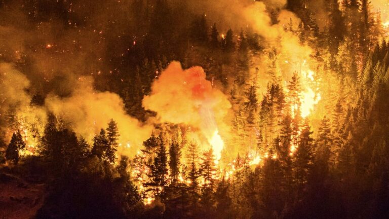 Incendios forestales: el Gobierno firma el DNU que declara la Emergencia Ígnea en la Patagonia