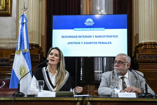 Senadora nacional Carolina Losada durante una entrevista