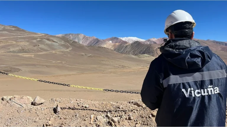 Vista del Proyecto Vicuña en la región andina