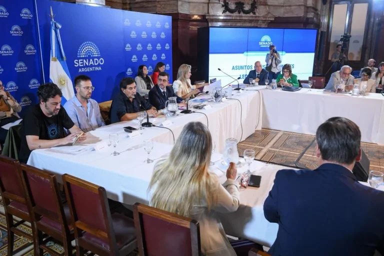 Ilustración de un mapa de Argentina y documentos legales, representando el debate sobre la Ley de Propiedad Privada.