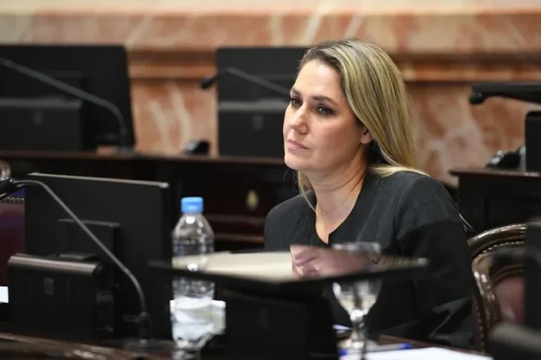 Senadora Silvina García Larraburu durante una sesión en el Senado de la Nación.
