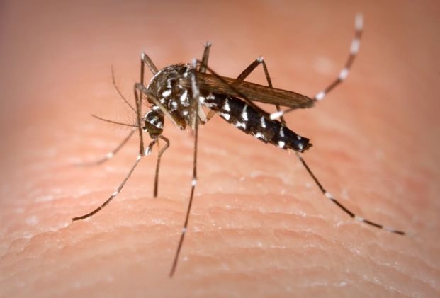Mapa de Argentina con foco en La Rioja y casos de chikungunya