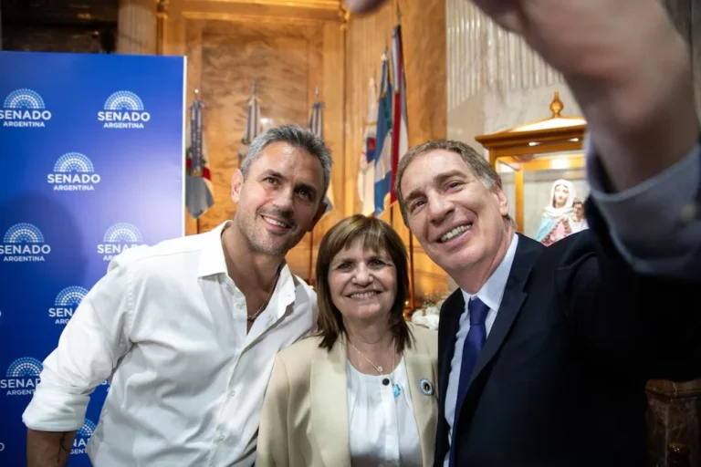 Patricia Bullrich y Martín Menem en el Congreso