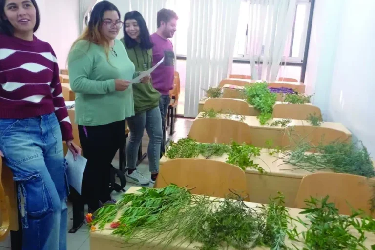 Estudiantes en taller de plantas nativas con claves dicotómicas en la UNDeC