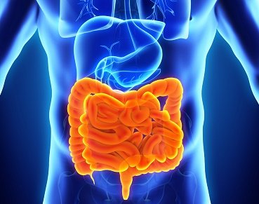 Persona con dolor abdominal sosteniendo su estómago, representando síntomas de enfermedad inflamatoria intestinal