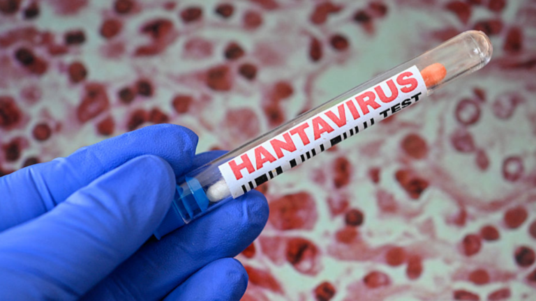 Control sanitario en La Rioja por hantavirus