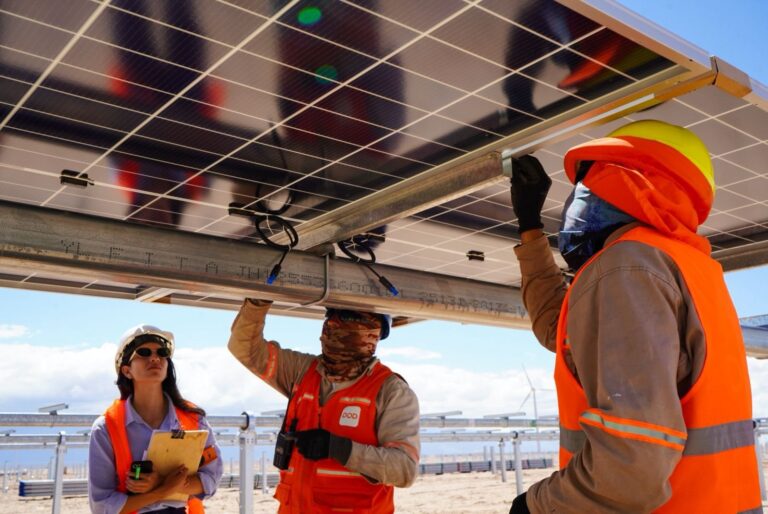 Paneles solares del Parque Solar Arauco en La Rioja