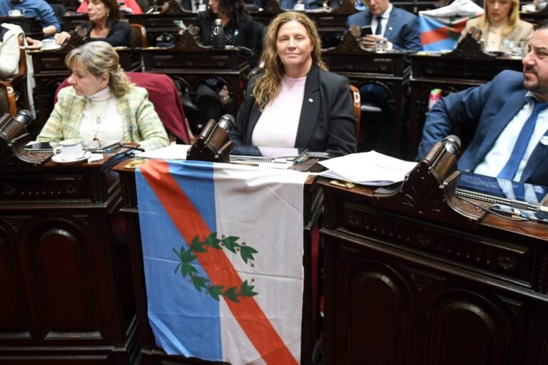 Diputada Gabriela Pedrali en el recinto legislativo